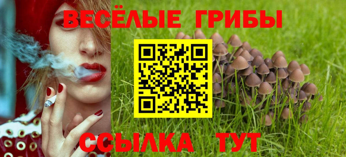 Галлюциногенные грибы мухоморы  Галлюциногенные грибы Psilocybe  Вход с VPN  Набережные Челны 