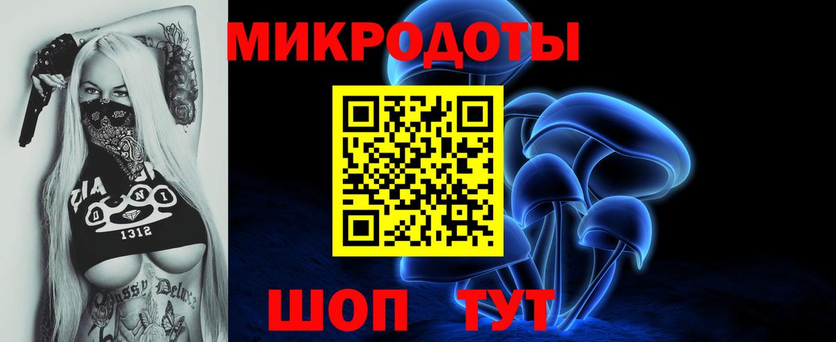 Псилоцибиновые грибы Psilocybine cubensis Набережные Челны
